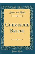 Chemische Briefe (Classic Reprint)