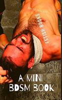 A Mini Bdsm Book