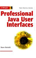 Professional Java User Interfaces