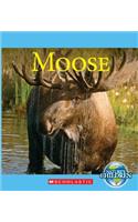Moose: (Nature's Children)