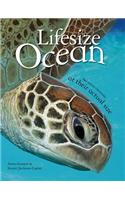 Lifesize Ocean