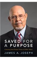 Saved for a Purpose: A Journey from Private Virtues to Public Values