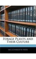 Forage Plants and Their Culture