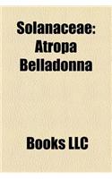 Solanaceae