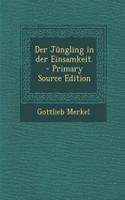 Der Jungling in Der Einsamkeit.
