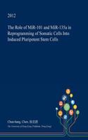 The Role of Mir-101 and Mir-135a in Reprogramming of Somatic Cells Into Induced Pluripotent Stem Cells