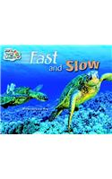 Steck-Vaughn Pair-It Turn and Learn Emergent 1