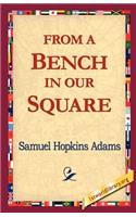 From a Bench in Our Square