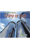 Shiny or Dull