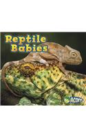 Reptile Babies