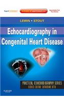 Echocardiography in Congenital Heart Disease