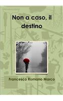 Non a Caso, Il Destino