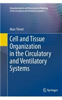 Cell and Tissue Organization in the Circulatory and Ventilatory Systems