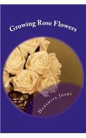 Growing Rose Flowers