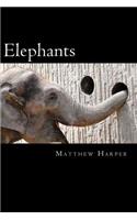 Elephants: A Fascinating Book Containing Elephant Facts, Trivia, Images & Memory Recall Quiz: Suitable for Adults & Children
