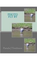 Photo Fly By