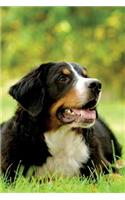 Bernese Mountain Dog Notebook & Journal. Productivity Work Planner & Idea Notepad: Brainstorm Thoughts, Self Discovery, To Do List