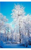 Journal Snowy Forest: (Notebook, Diary, Blank Book)(Seasonal Winter Photo Journals Notebooks Diaries)
