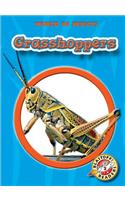 Grasshoppers