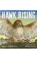 Hawk Rising