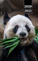 Panda Bear Week Planner Weekly Organizer Calendar 2020 / 2021 - Bush in Mouth