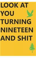 Look at You Turning Nineteen and Shit Notebook Birthday Gift: Lined Notebook/ Journal Gifts,120 pages, 6×9, Soft Cover, Matte Finish