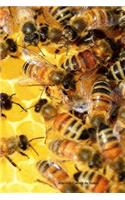 Abeilles Carnet de notes: Journal A5 ligné original de 119 pages- Une belle idée de cadeau pour les amoureux des animaux