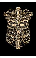 Steampunk: Ribcage / Medium Size Notebook with Lined Interior, Page Number and Daily Entry Ideal for Organization, Taking Notes, Journal, Diary, Daily Planner