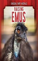 Raising Emus