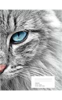 Cat Composition Notebook