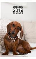 Dachshund Planner: Organizer and Notebook for 2019