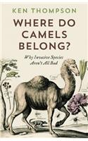 Where Do Camels Belong?