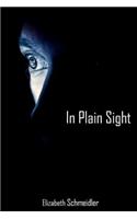 In Plain Sight