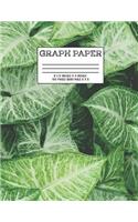 Graph Paper
