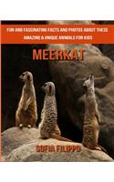 Meerkat