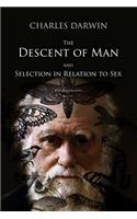 Descent of Man, and Selection in Relation to Sex: With Illustrations