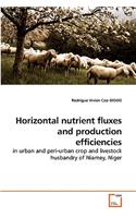 Horizontal nutrient fluxes and production efficiencies