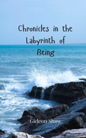 Chronicles in the Labyrinth of Being