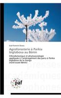 Agroforesterie À Parkia Biglobosa Au Bénin