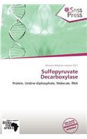 Sulfopyruvate Decarboxylase: (English)