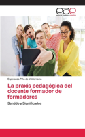 praxis pedagógica del docente formador de formadores