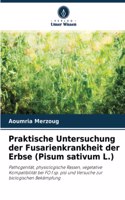 Praktische Untersuchung der Fusarienkrankheit der Erbse (Pisum sativum L.)