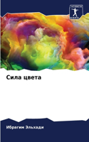 &#1057;&#1080;&#1083;&#1072; &#1094;&#1074;&#1077;&#1090;&#1072;