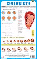 Childbirth - Thick Laminated Chart