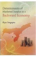Determinants of Marketed Surplus in a Backward Economy