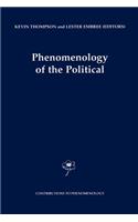 Phenomenology of the Political