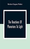 Reactions Of Planarians To Light