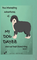The Interesting Adventures of My Dog DAYZZ