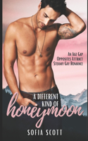 A Different Kind of Honeymoon: An Age-Gap, Opposites Attract, Steamy Gay Romance(New Zealand Men - Gay Romance)