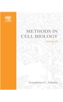 Methods in Cell-Matrix Adhesion